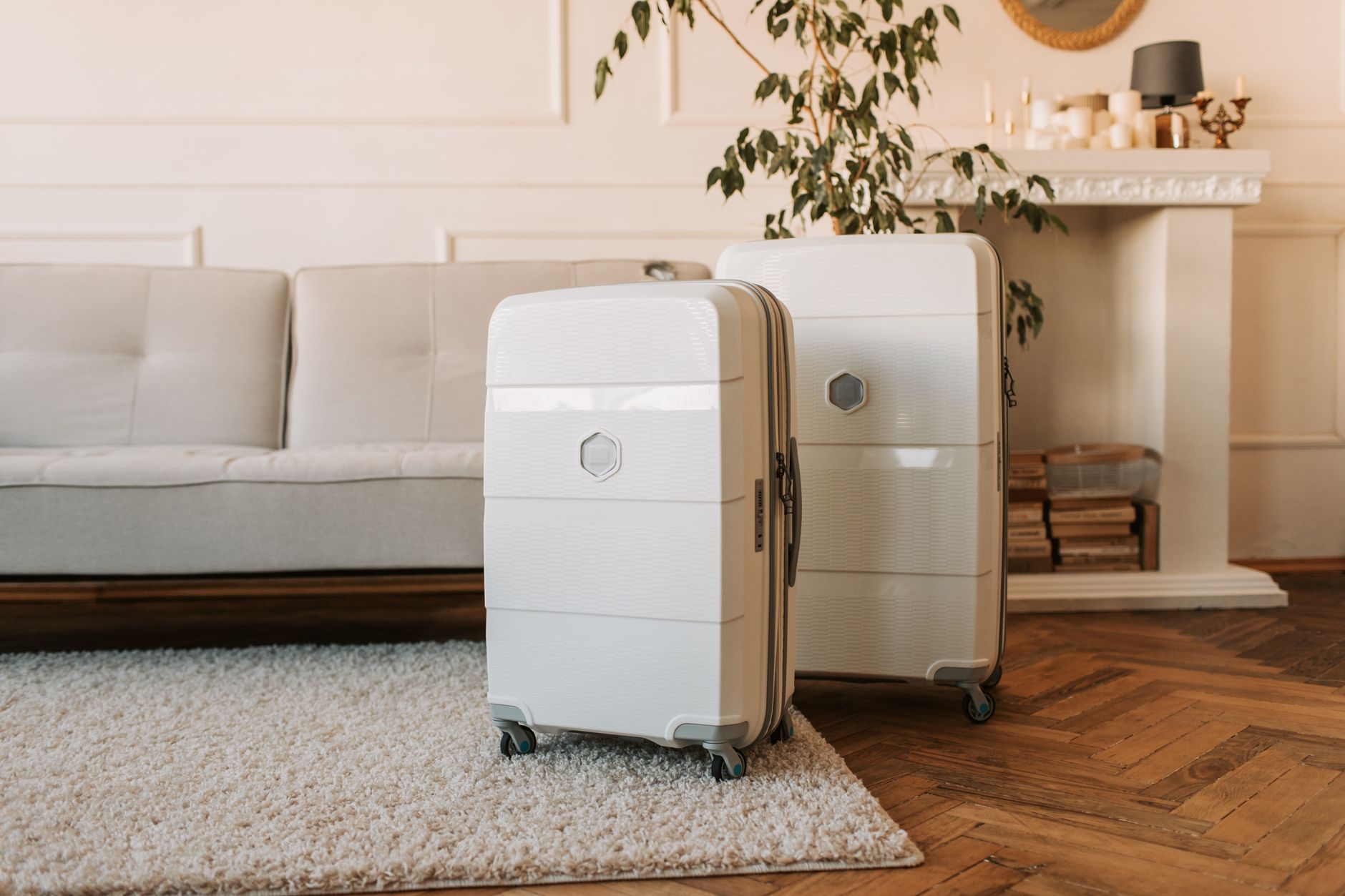 Minimalist Luggage